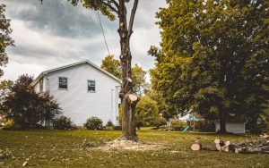 Does Homeowners Insurance Cover Tree Removal After Storms